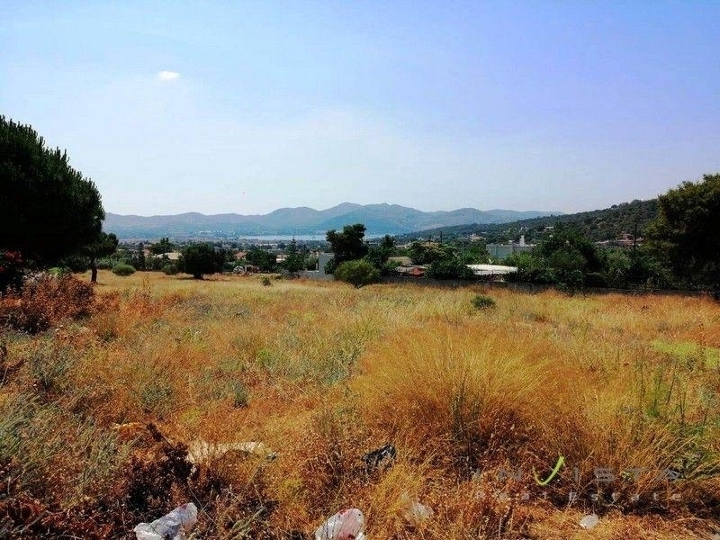 (For Sale) Land Plot || East Attica/Anavyssos - 5.520 Sq.m, 1.300.000€ 