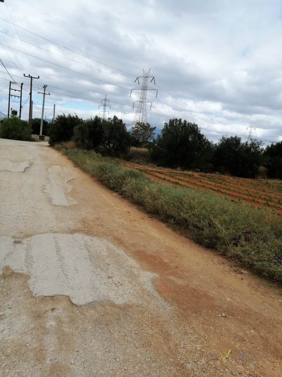 (For Sale) Land Plot || East Attica/Markopoulo Mesogaias - 6.500 Sq.m, 786.000€ 