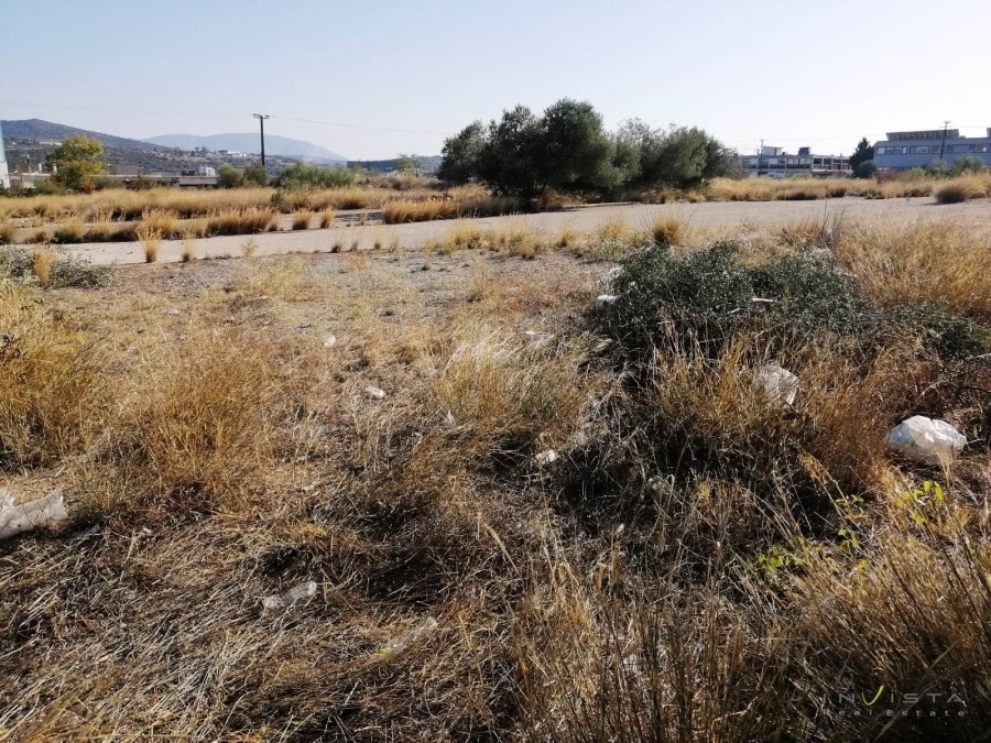 (Προς Πώληση) Αξιοποιήσιμη Γη Οικόπεδο || Ανατολική Αττική/Κορωπί  - 21.000 τ.μ, 4.600.000€ 