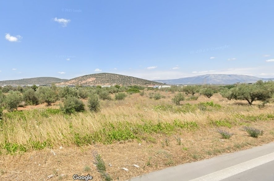 (For Sale) Land Plot || East Attica/Markopoulo Mesogaias - 6.932 Sq.m, 970.000€ 