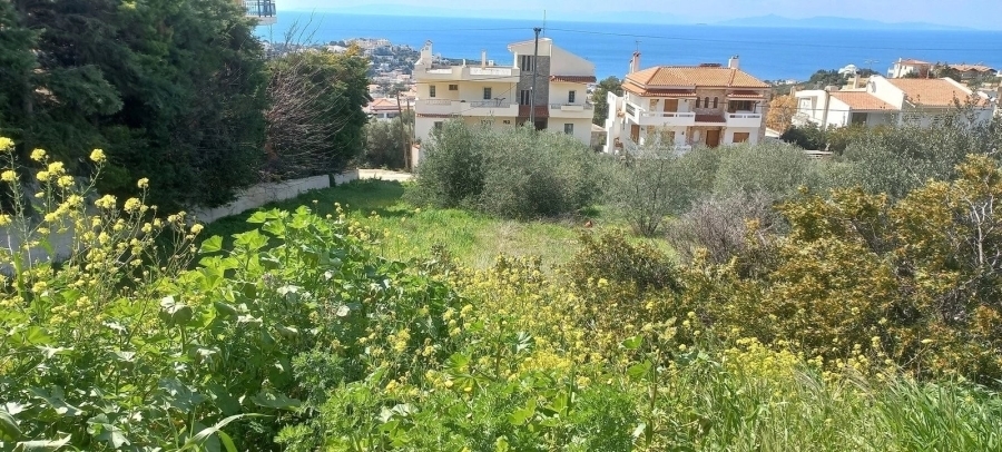 (Προς Πώληση) Αξιοποιήσιμη Γη Οικόπεδο || Ανατολική Αττική/Σαρωνίδα - 813 τ.μ, 480.000€ 