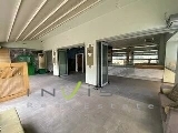 slide1 thumbnail
