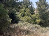 slide1 thumbnail