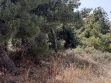 slide1 thumbnail