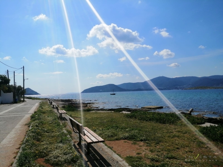 (Προς Πώληση) Κατοικία Συγκρότημα κατοικιών || Ανατολική Αττική/Μαρκόπουλο Μεσογαίας - 1.000 τ.μ, 11 Υ/Δ, 3.000.000€ 