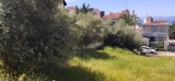 slide1 thumbnail