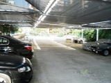 slide1 thumbnail