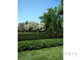 slide1 thumbnail