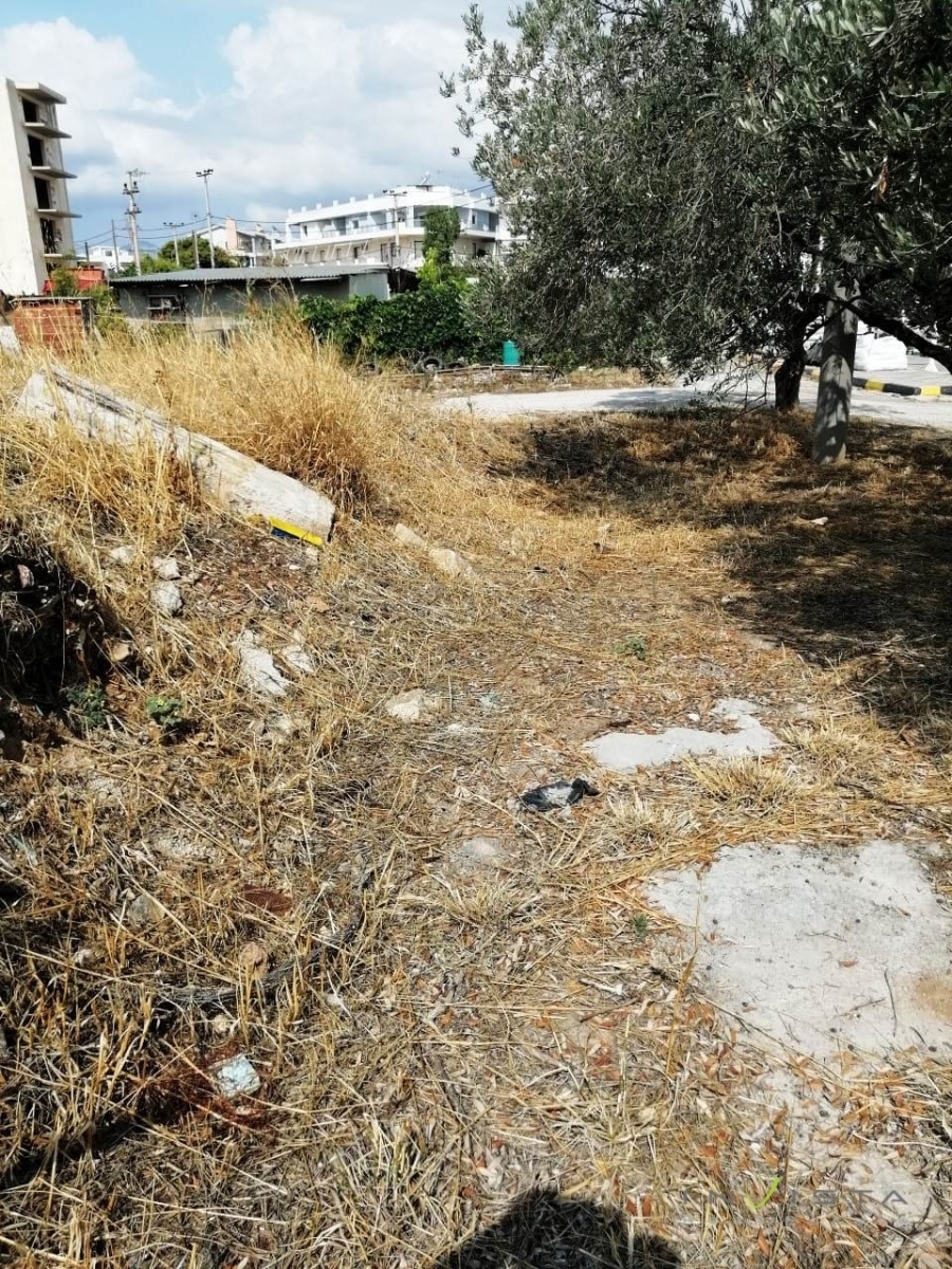 (For Sale) Land Plot || East Attica/Markopoulo Mesogaias - 1.000 Sq.m, 270.000€ 