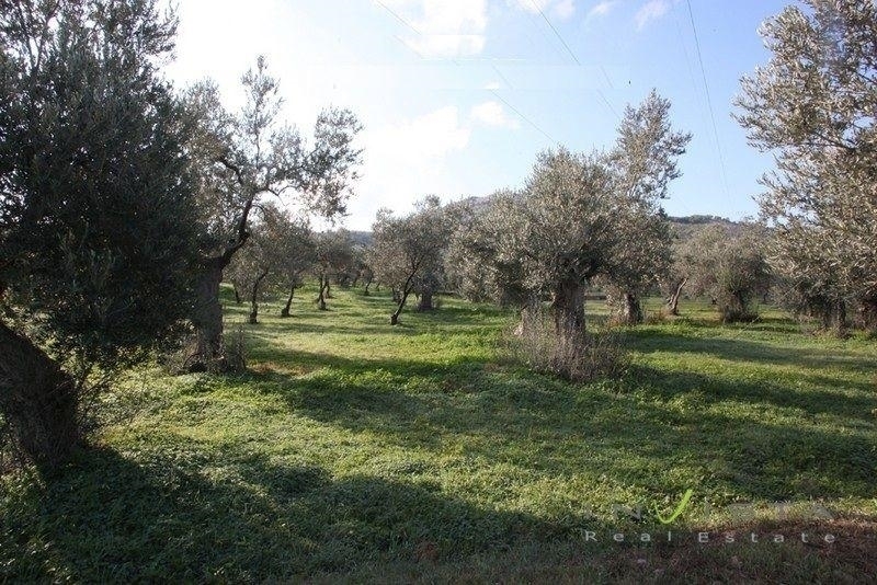 (For Sale) Land Agricultural Land  || Argolida/Ermioni - 33.250 Sq.m, 600.000€ 